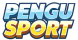 pengusport.app